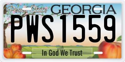 GA license plate PWS1559