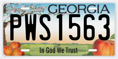 GA license plate PWS1563