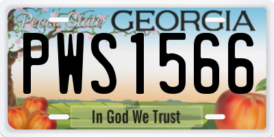 GA license plate PWS1566
