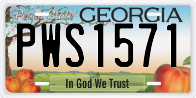 GA license plate PWS1571
