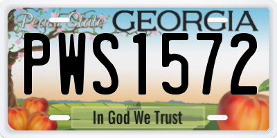 GA license plate PWS1572