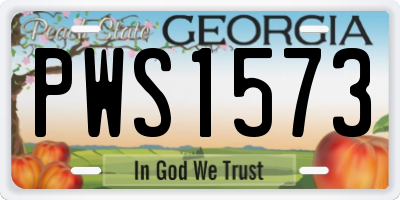 GA license plate PWS1573