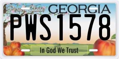 GA license plate PWS1578