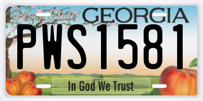 GA license plate PWS1581