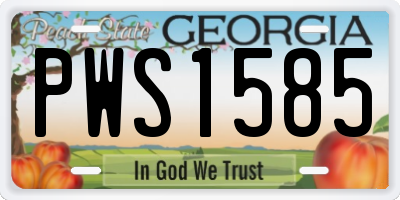 GA license plate PWS1585