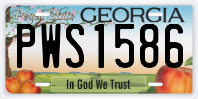 GA license plate PWS1586