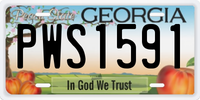GA license plate PWS1591