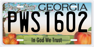 GA license plate PWS1602