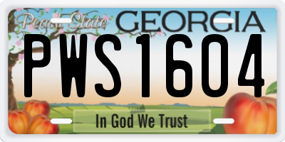 GA license plate PWS1604