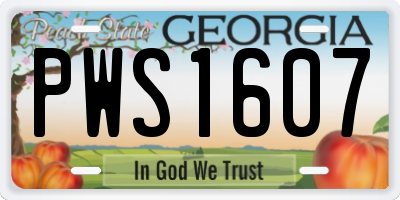 GA license plate PWS1607