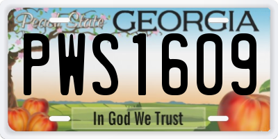 GA license plate PWS1609