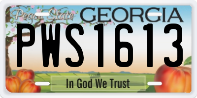 GA license plate PWS1613