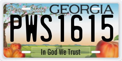 GA license plate PWS1615