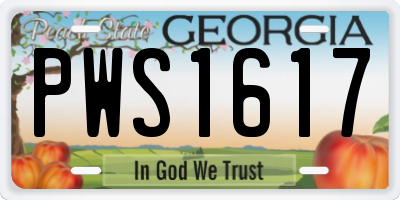 GA license plate PWS1617