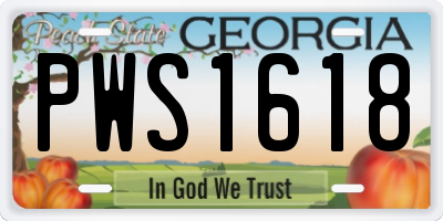 GA license plate PWS1618