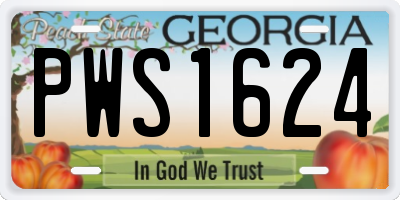 GA license plate PWS1624