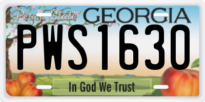 GA license plate PWS1630