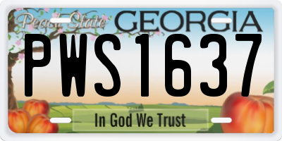 GA license plate PWS1637