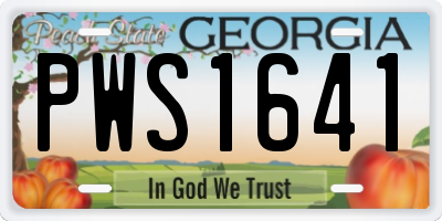 GA license plate PWS1641