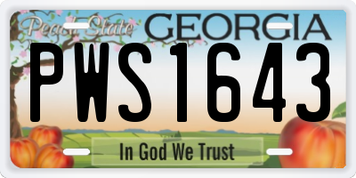 GA license plate PWS1643