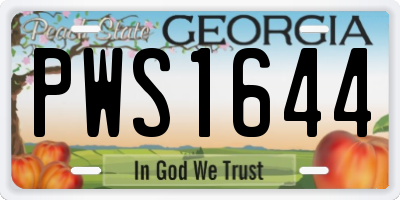 GA license plate PWS1644
