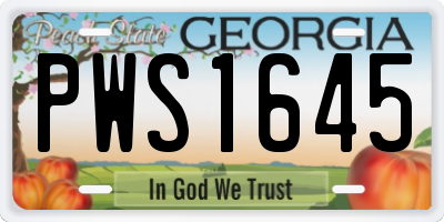 GA license plate PWS1645