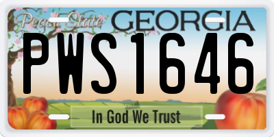 GA license plate PWS1646