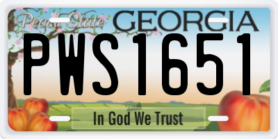 GA license plate PWS1651