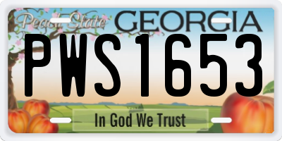 GA license plate PWS1653