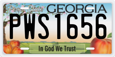 GA license plate PWS1656