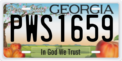GA license plate PWS1659
