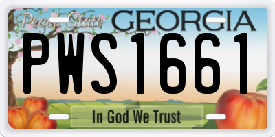 GA license plate PWS1661