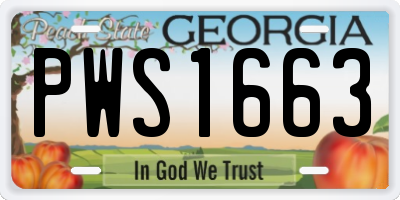 GA license plate PWS1663
