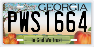 GA license plate PWS1664