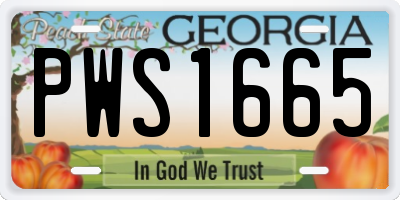 GA license plate PWS1665
