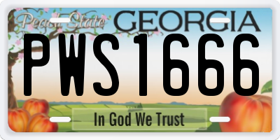 GA license plate PWS1666