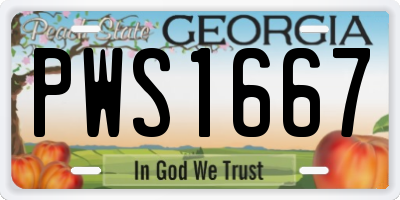 GA license plate PWS1667