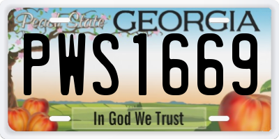 GA license plate PWS1669