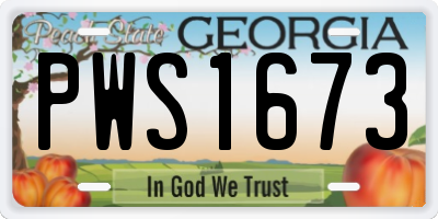 GA license plate PWS1673
