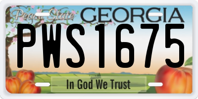 GA license plate PWS1675