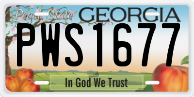 GA license plate PWS1677