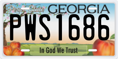 GA license plate PWS1686