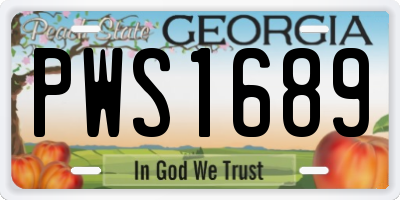 GA license plate PWS1689