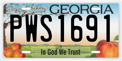 GA license plate PWS1691