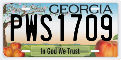GA license plate PWS1709