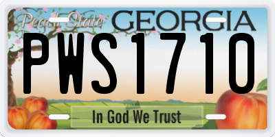 GA license plate PWS1710