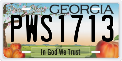 GA license plate PWS1713