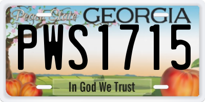 GA license plate PWS1715