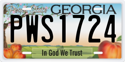 GA license plate PWS1724