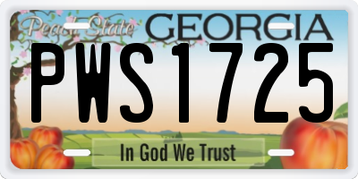 GA license plate PWS1725